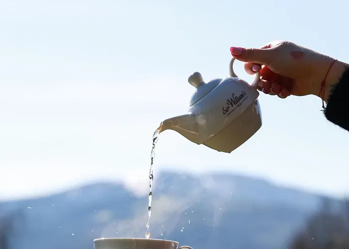 Zacisze Hotel Wegierska Gorka